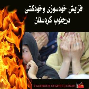 1234707_265715363588710_306556548_n