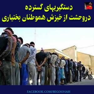 1507063_271637066329873_806868544_n