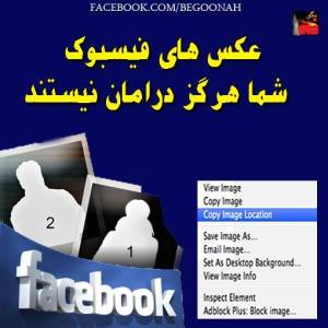 1512803_268909229935990_2015076510_n