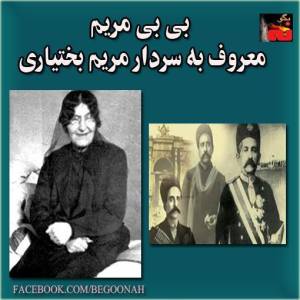 1613787_271008543059392_2103539891_n