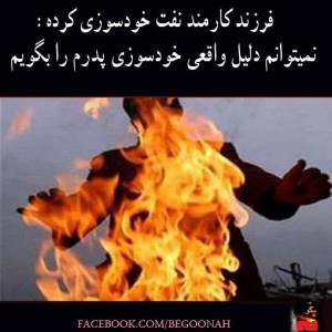 1618678_271691759657737_232271209_n