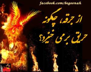 1620137_795791900434779_24751956_n