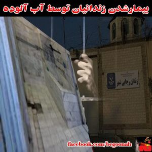 1620195_239032689613073_118678630_n