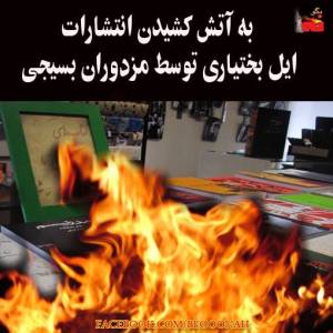 1620869_272377992922447_466890977_n