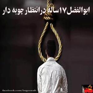 1654611_241908152658860_413805059_n