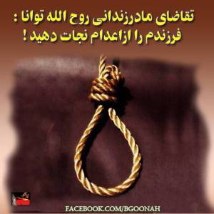 1656031_270211533139093_1175509007_n