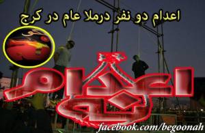 1743440_269220196571560_255373626_n