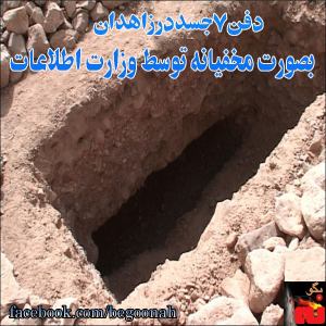 1779583_241497112699964_831954157_n