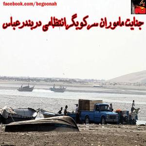 1781632_240434232806252_404873566_n