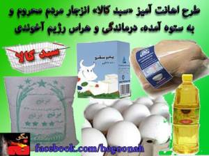 1797577_265737480253165_292568070_n