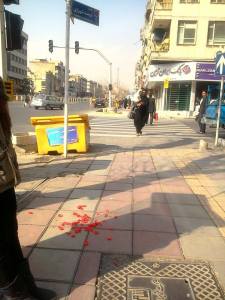 1891285_603828179698003_1541319188_n