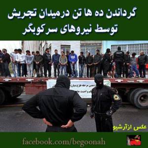 1897729_266122463548000_1061505338_n