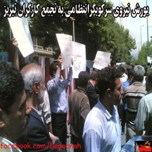 1898930_241324532717222_454258457_n