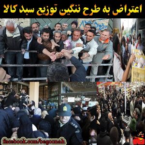 1898944_242202605962748_835549171_n