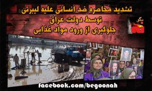 1899970_271159863044260_396647017_n