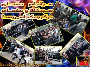 1901132_269541826539397_248948238_n