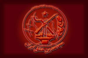 1912150_272681612892085_549536145_n