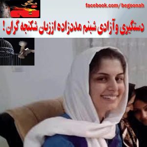 1927159_242818165901192_626610699_n