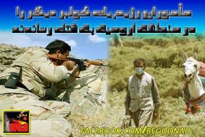 1939515_272415079585405_2107476985_n