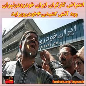 1947437_246205045562504_1225148005_n