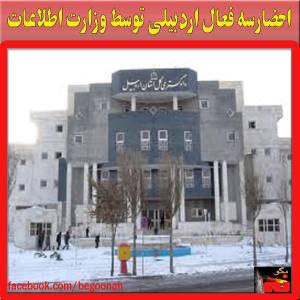 1960347_243989745784034_725318248_n