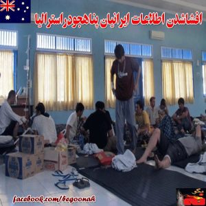 1961361_245313685651640_372201505_n