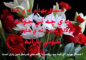 1000664_281147142045532_1504994229_n