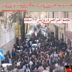 10013601_250352668481075_1972351635_n