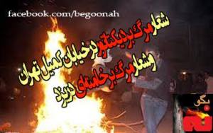 10013756_279085068918406_394181437_n