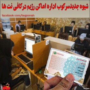 1010577_276277319199181_958173510_n