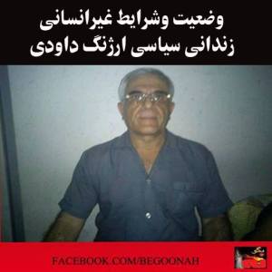 1014032_281551372005109_2096808433_n