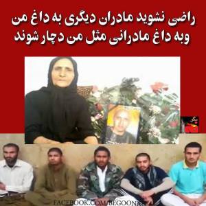 10151239_283341815159398_1397807959_n