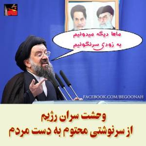 1149033_282517975241782_201842520_n