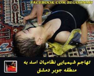 1240193_276382935855286_2011183879_n