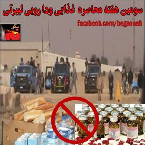 1544469_278868062273440_813512892_n