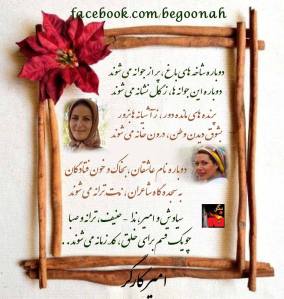 1604910_279752495518330_2021040712_n