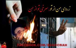 164598_278693352290911_154650385_n