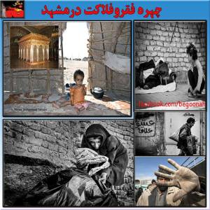 1781891_276293049197608_1679750094_n