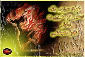 1795626_276236569203256_1800757864_n