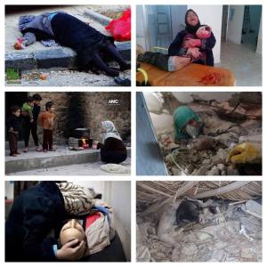 1798516_637922002948473_1732819766_n