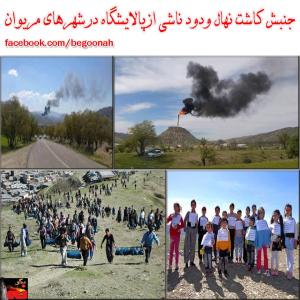 1922911_255116484671360_516837843_n