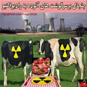 1926975_249562985226710_2018344391_n