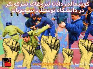 1947599_10200628584357206_873797170_n