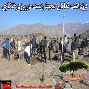 1957464_249818415201167_1065358452_n