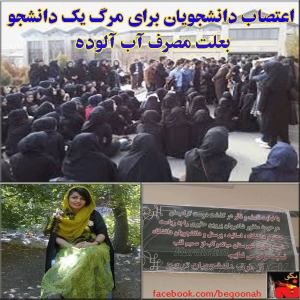 1974559_249306625252346_2130193919_n