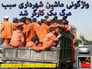 1975155_276950865798493_1920454078_n