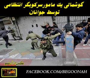 1979597_277420632418183_608299933_n