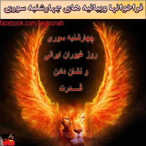 986612_250503781799297_2078912251_n