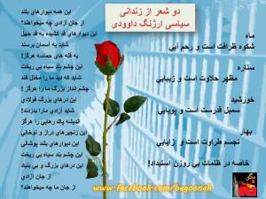 10001417_10200774200797526_443032598_n