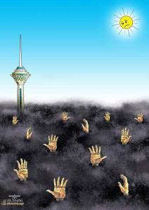 10013970_671726126216744_407266745_n